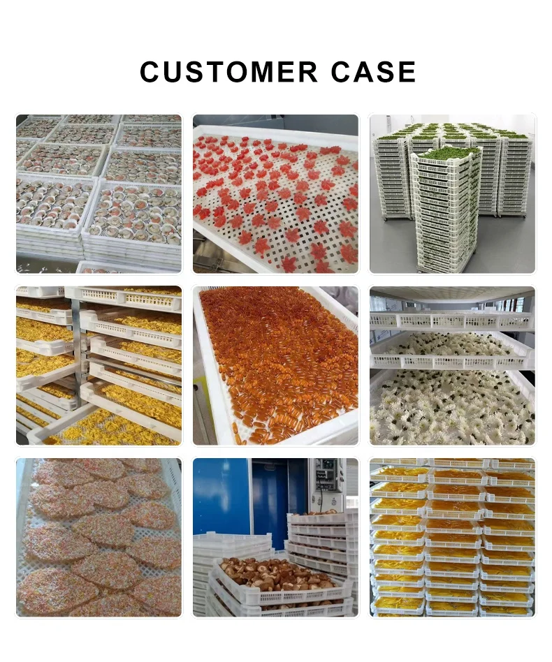 Food grade stackable Gummy candy / soap / Confectionery / softgel / capsule plastic drying Trays with Exclusive Slot Vents