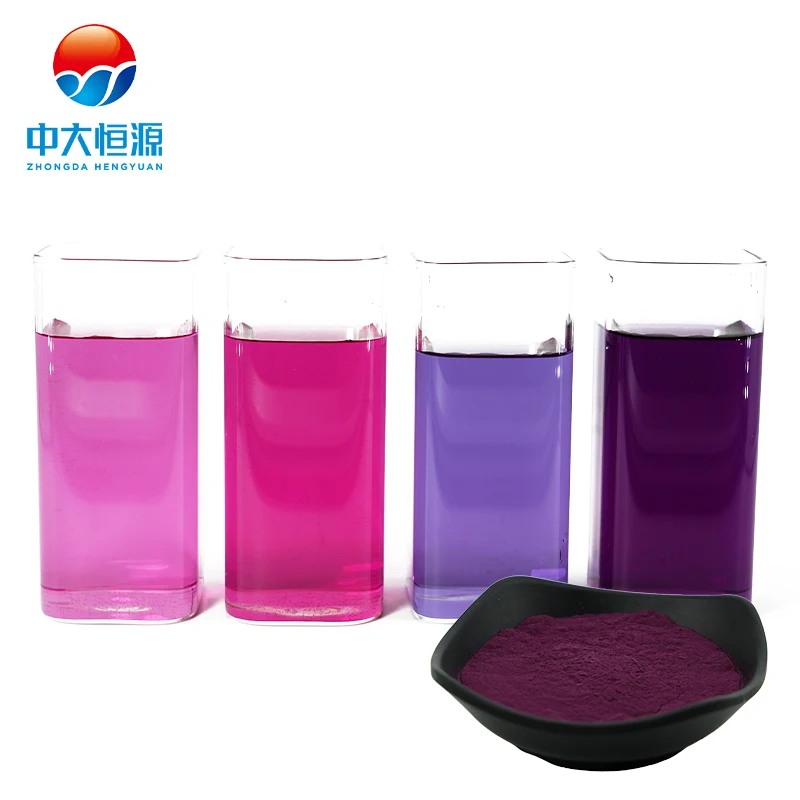 Plant Extract Black Carrot Concentrate Juice Powder for Frozen Dessert