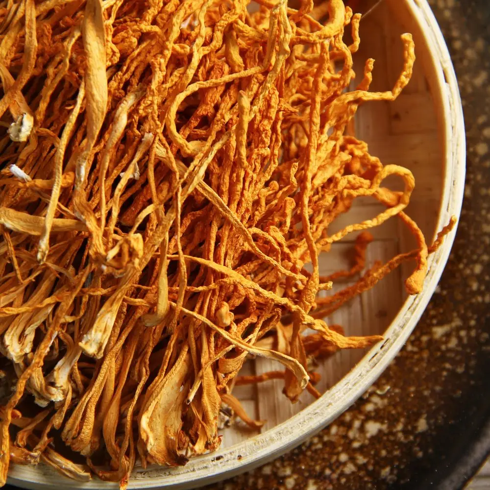 Best Price High-quality Organic Dried golden cordyceps mushroom Flower Dried Cordyceps wholesale price