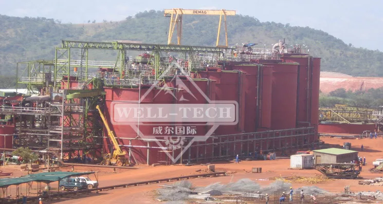 Small scale CIP  gold processing plant