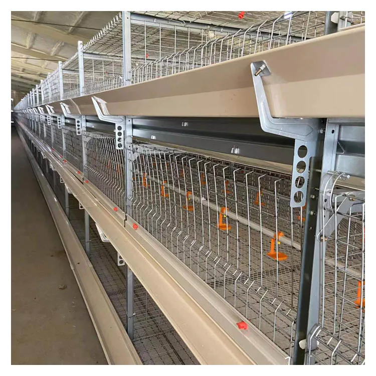 Commercial Farming Poultry Equipment Chicken Farm Broiler Cage H Type Broiler Chicken Cage for Automatic Manure Cleaning
