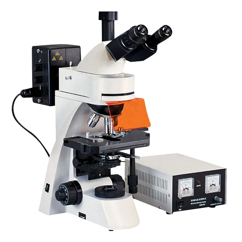 40-1000X Binocular Trinocular fluorescence microscope medical microscope pathology microscope