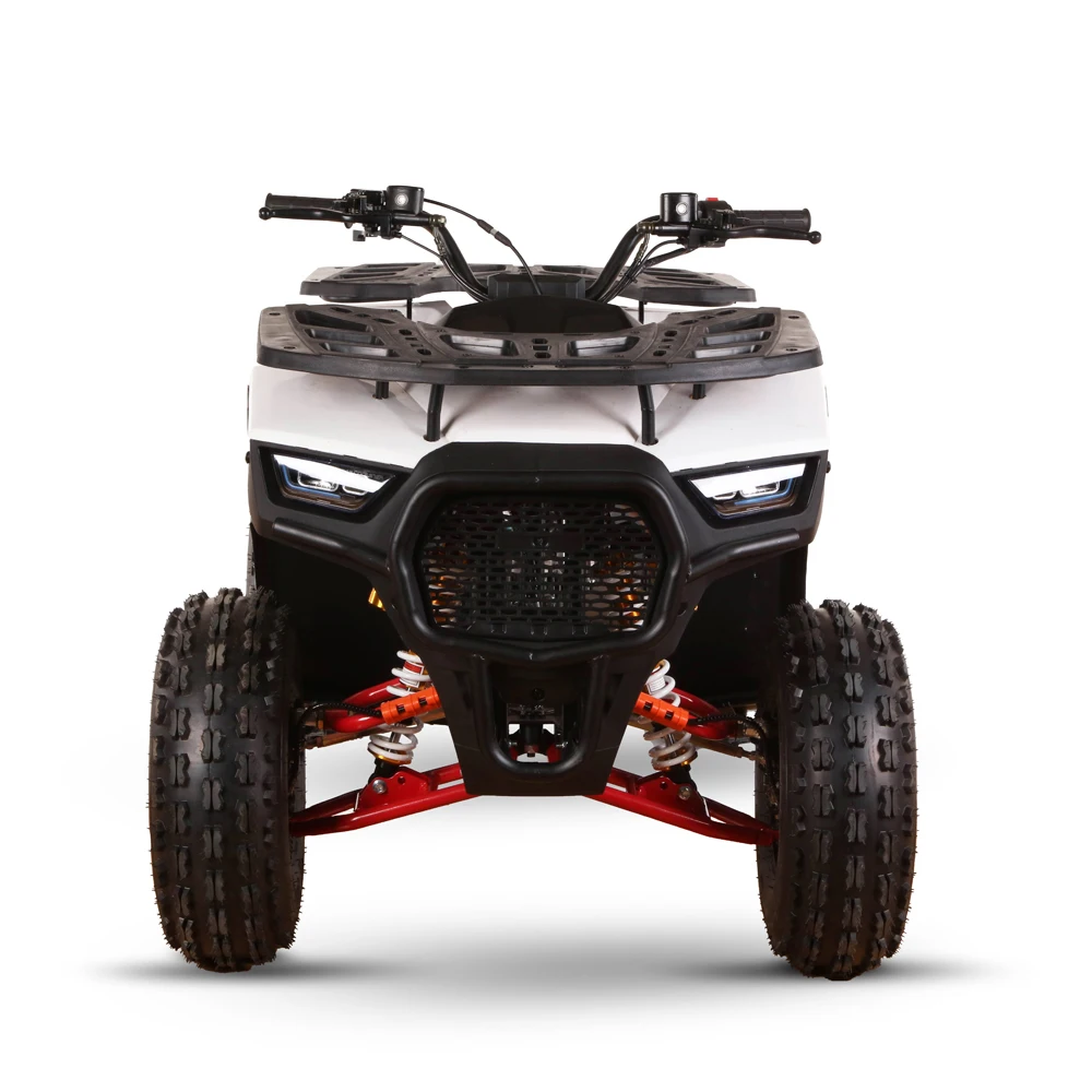 125cc 110cc 4 stroke mini  quad epa adult atvs 4 wheeler ATV for kids/teenager buggy atv