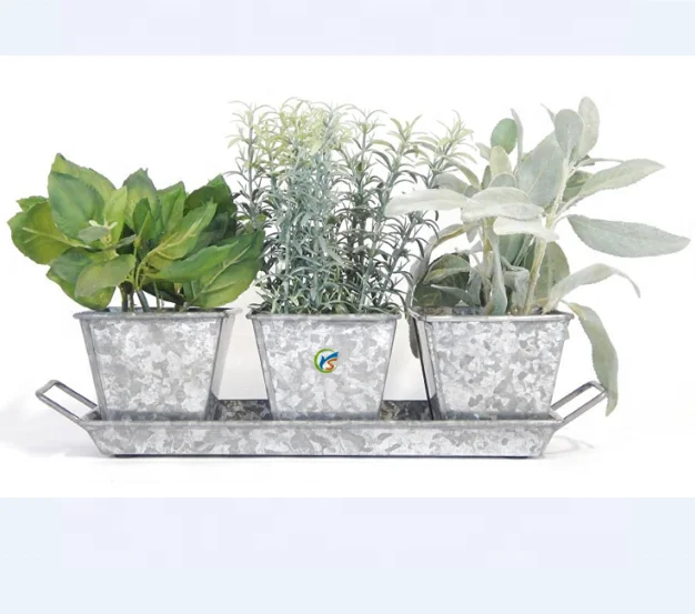 Garden Planter Herb Kit (Galvanized)