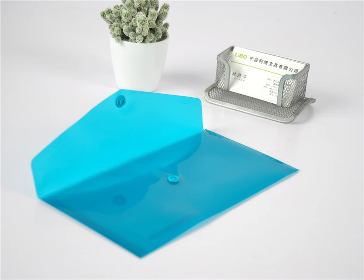 Plastic Envelope Clear Poly Pockets Folder, A4 Letter Size Transparent Docunment Organizer with Snap Button