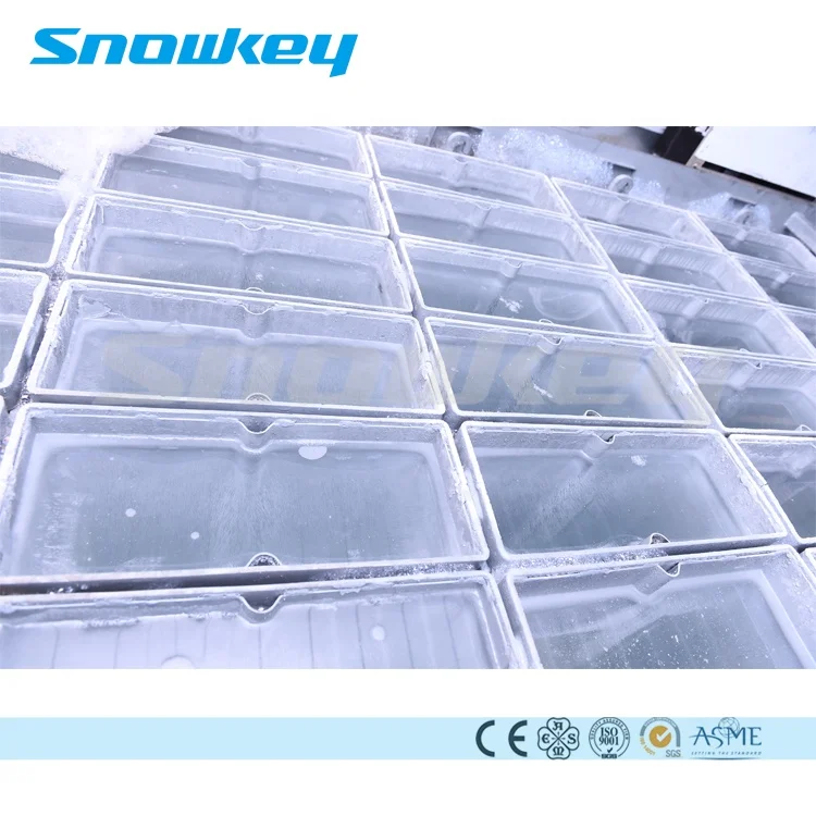 Snowkey ice block making machine for ice plant