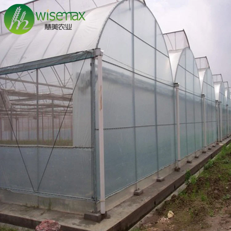 Commercial Low Cost Gutter-Connected Sawtooth Greenhouse