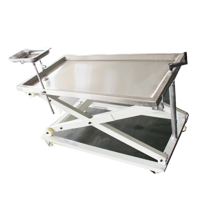 FSDJPT-3 Cheap Price Vet Surgical Table Surgical Electric Stainless Table For Vet