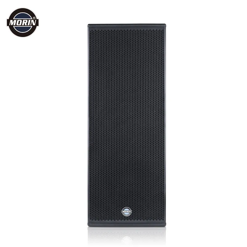900 Watts Powerful Big Pro Audio PA Speaker System for Live Show Contert