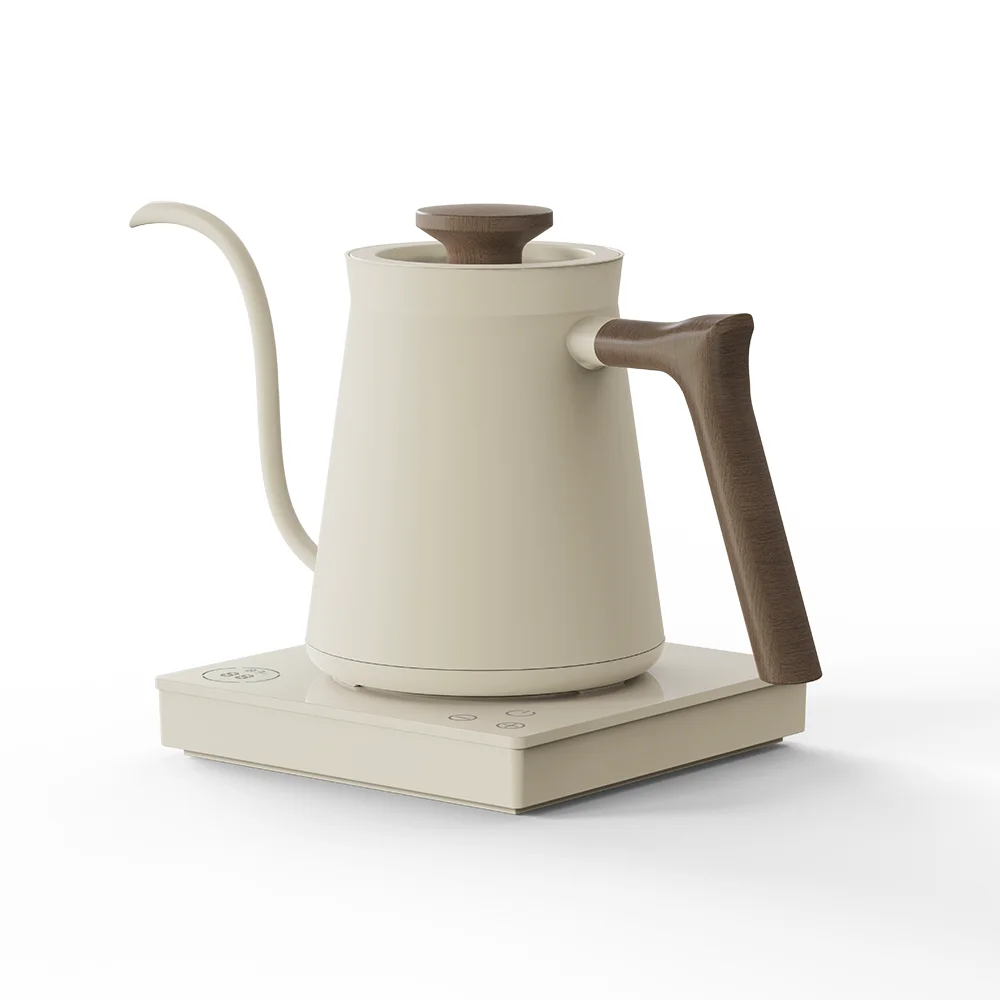 Ranbem Flash Boil and Keep Warm Settings Pour Over Kettle Brewing Tea Electric Coffee Pot with Thermometer