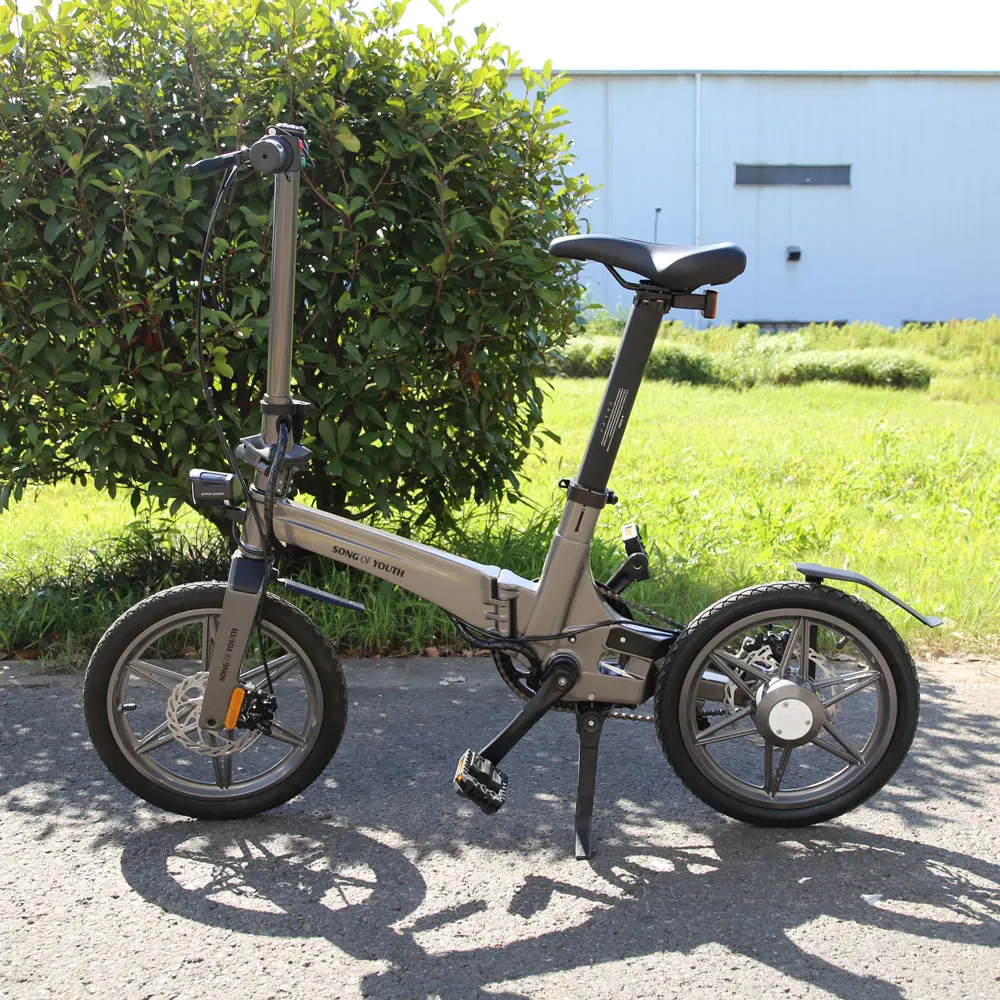 2021 New Products Lithium Battery Folding E Bike/Folding Electric Bike/Mini Bicycle/Foldable Ebike 250W