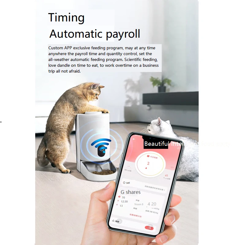 CW02M-WS102 800x800-7