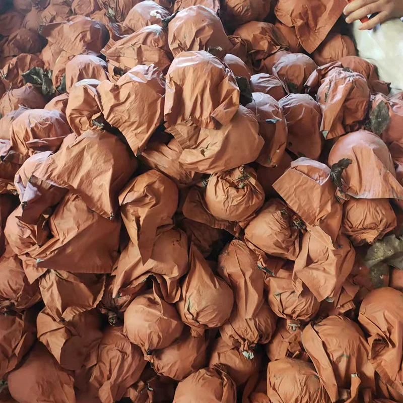 Paper Mango Bag Fruit Protection Growing Bag