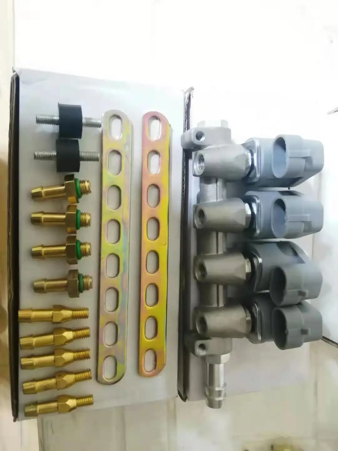 Peru popular model 2-Ohm 4-Cylinder IG1 Type rails 4cylinder sequential lpg gpl glp de gas Injector