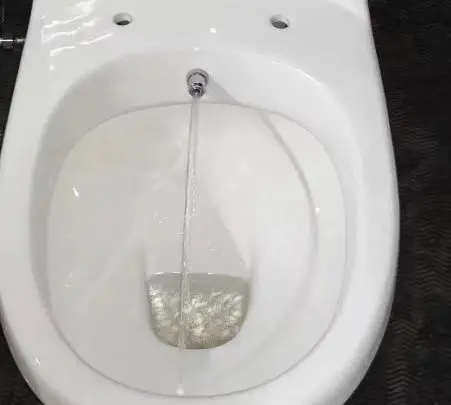 Africa Nigeria Ghana Twyford WC Ceramic Toilet Bowl with Bibet Sprayer P-Trap S-Trap Including Seat Cover