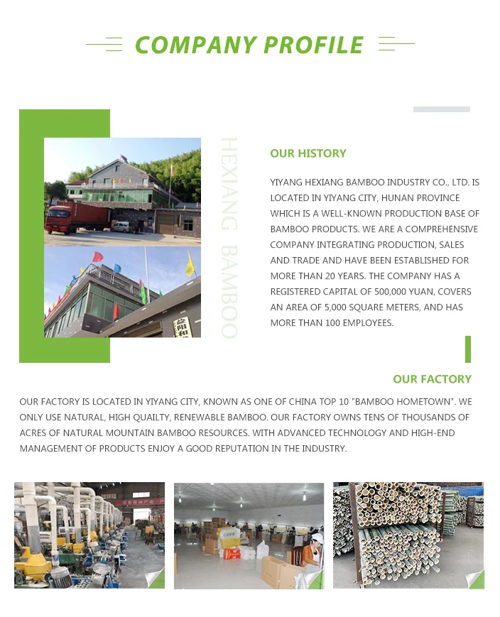 company profile