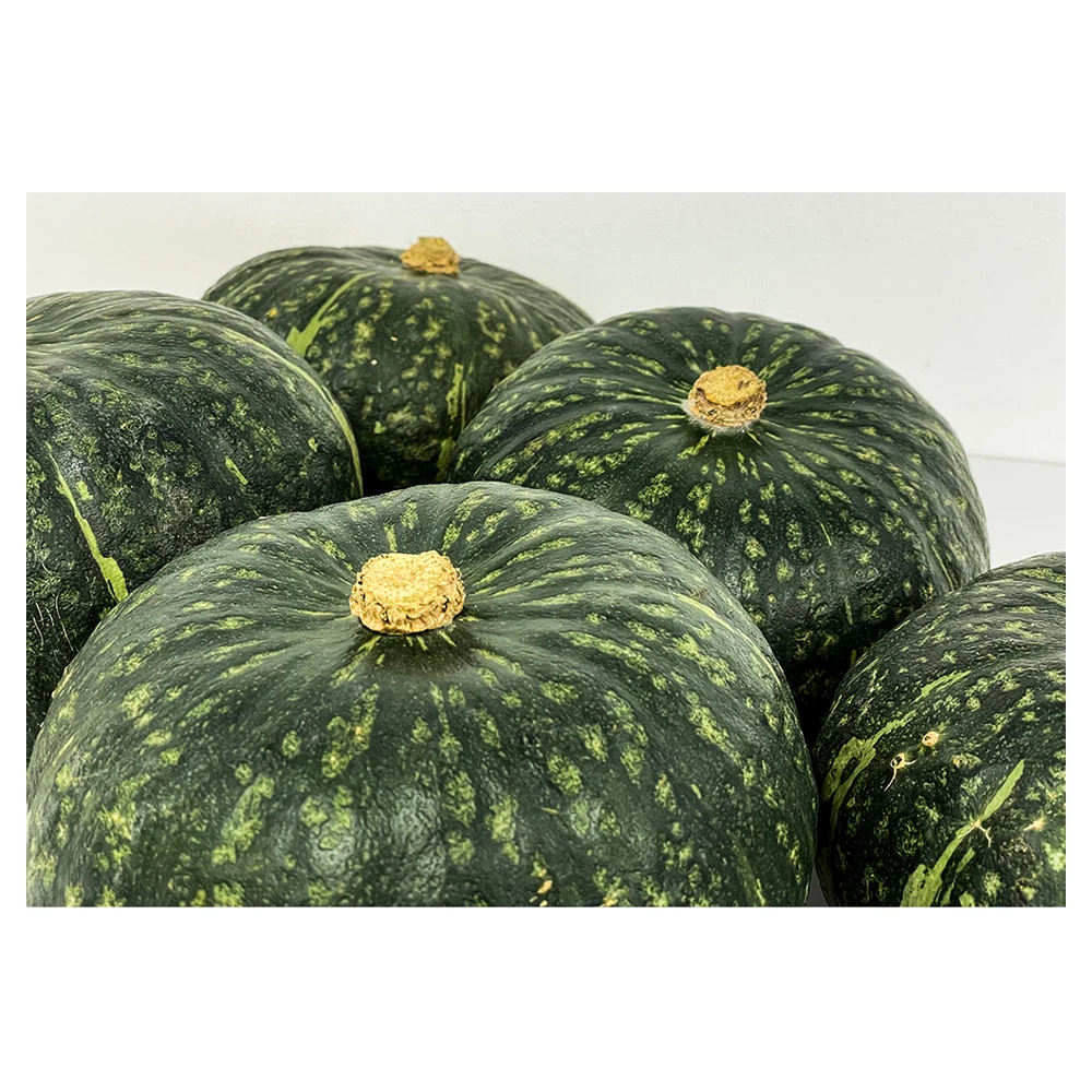 High Quality Sweet Japanese Vegetable Fresh Pumpkin Squash Kabocha