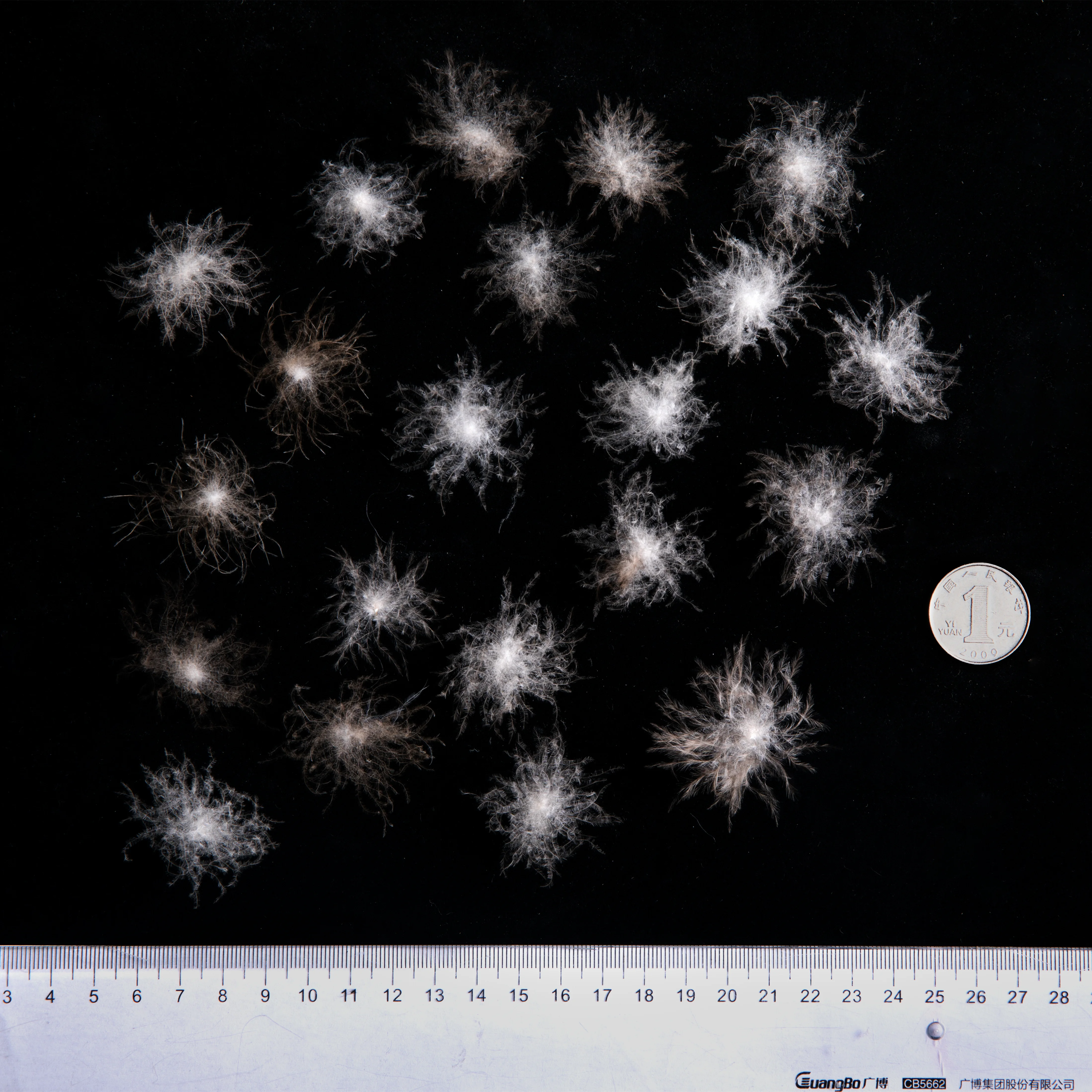 
Hot Sale 95% Washed Grey Muscovy Fabric Clothing Down Feather 