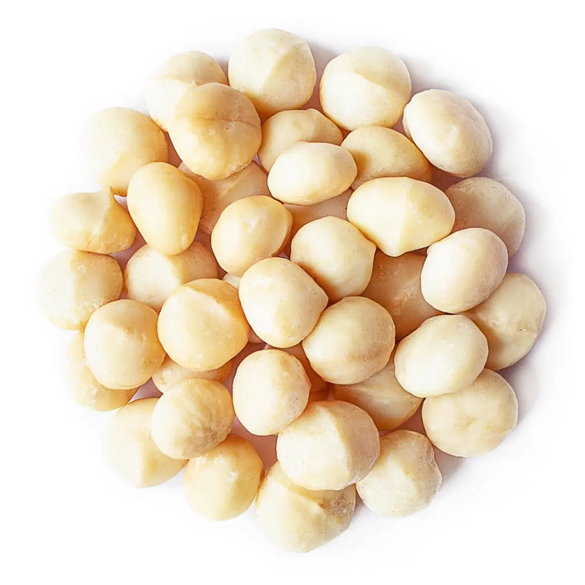 Macadamia kernels - Style 2 - Natural Shelled macadamia - kernels size between 14mm and 17mm, containing 50% wholes