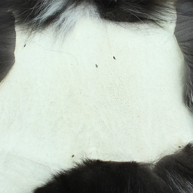 Best fox skins price various color tanning fox skin silver fox fur skin pelt for coat