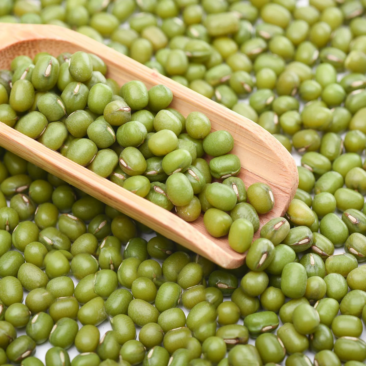 Wholesale High Quality Green Soyabean Non-GMO Dried Mung bean Price
