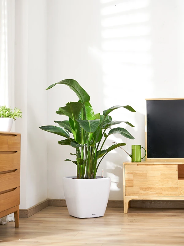 15.3 Inches High 82cm Diamond round Small/Medium Flower Pot for Indoor Hotel Garden Living Room Decor Watering Planter