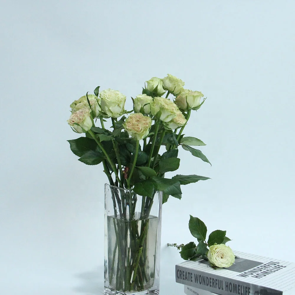 Exported Long Last Real Rose Flower Wholesale Fresh Flower Store Shop for Wedding Home Decoration