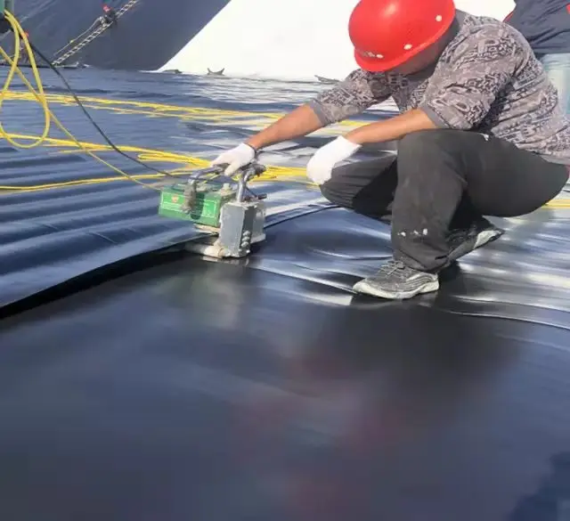 Geomembrane HDPE Sheet 1mm 1.2mm Geomembrane Biodigester for Biogas project