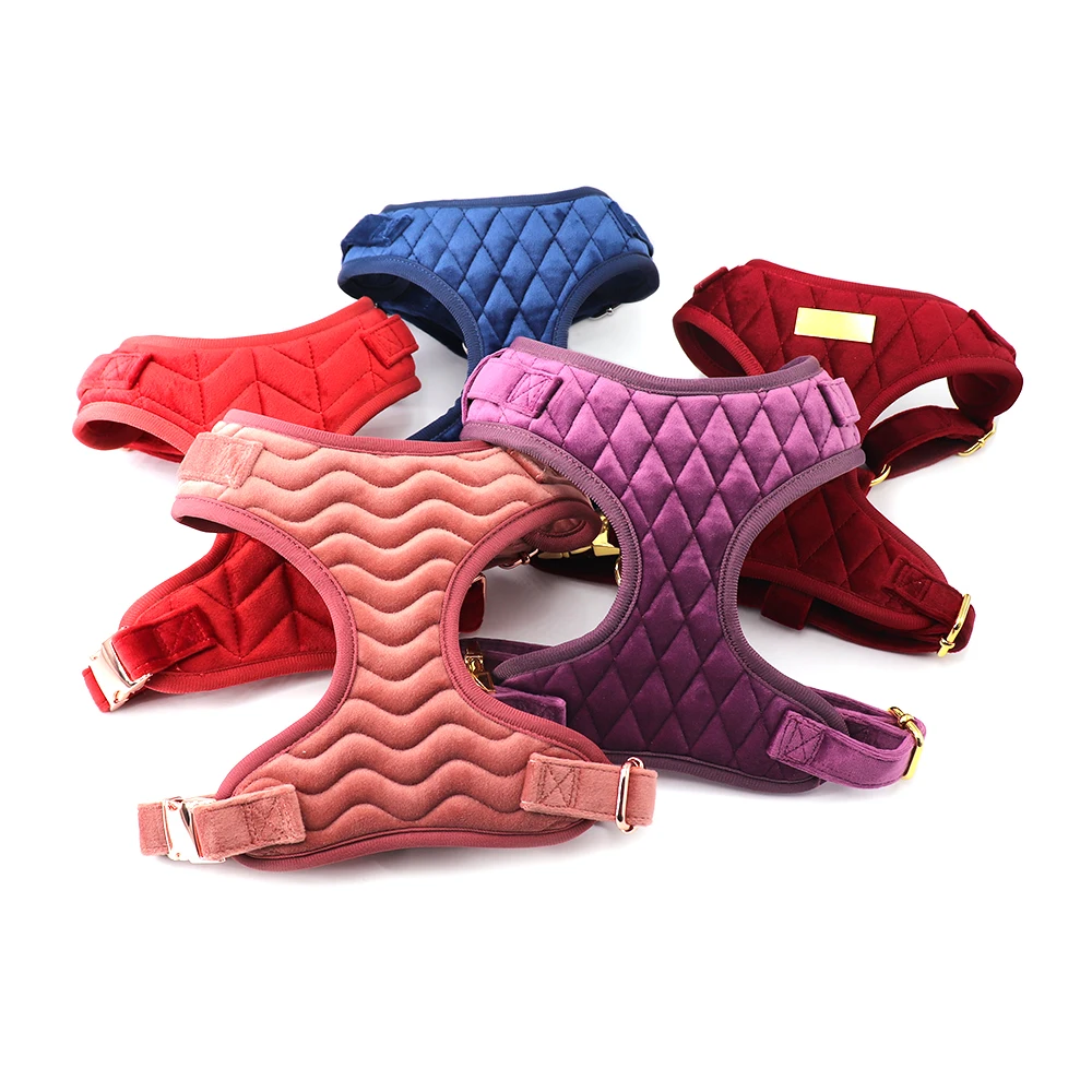 2024 Custom Colors and Patterns Velvet Dog Harness Set with Rose Gold Metal Buckles suit for Puppy Dog