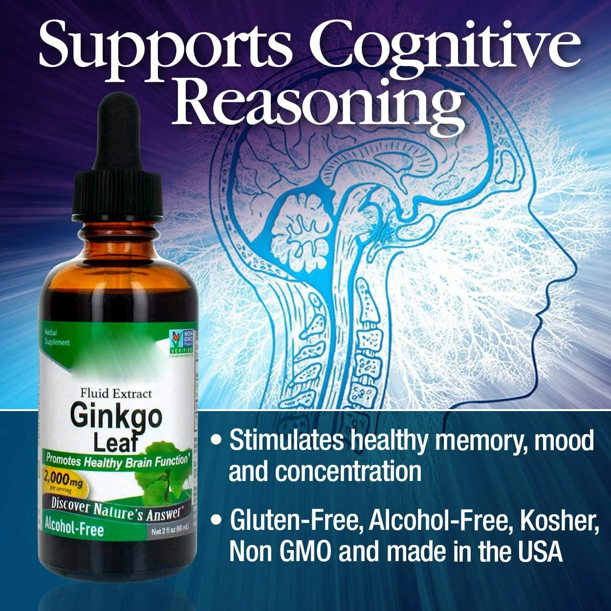 wholesale OEM/ODM Ginkgo Leaf Extract Stimulates Healthy Memory Mood & Concentration 2oz