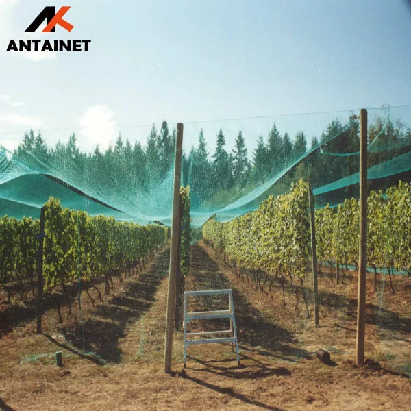factory price 45gsm  50gsm white color anti hail net with UV