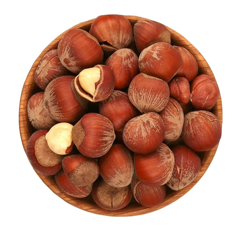 Super high quality organic red hazelnut kernel hazelnut china trade turkish hazelnuts in-shell