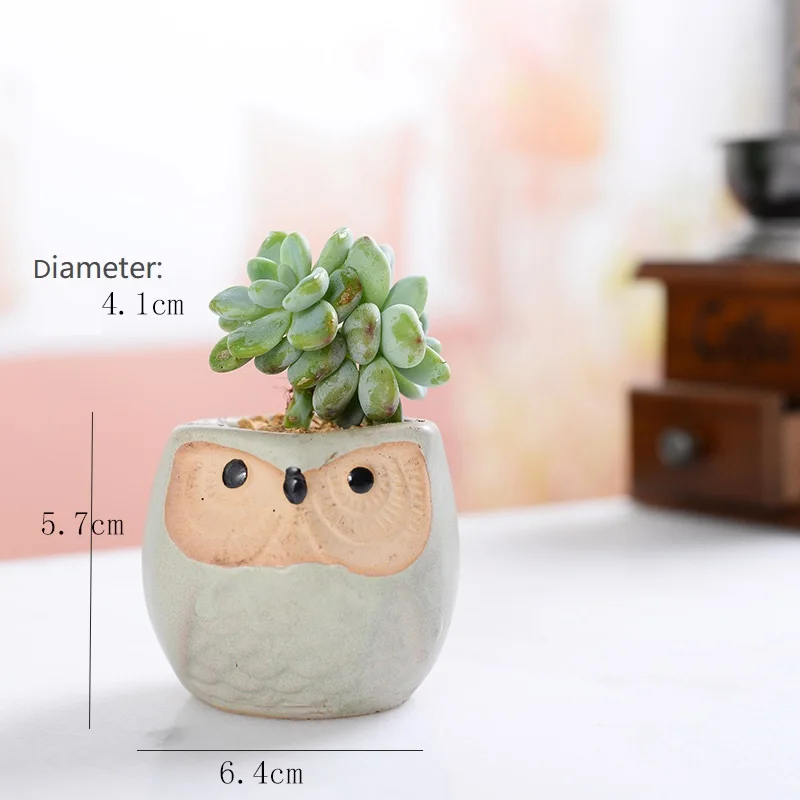 Owl Shaped flower pot decorative succulent pots mini ceramic succulent planter pot a drainage hole