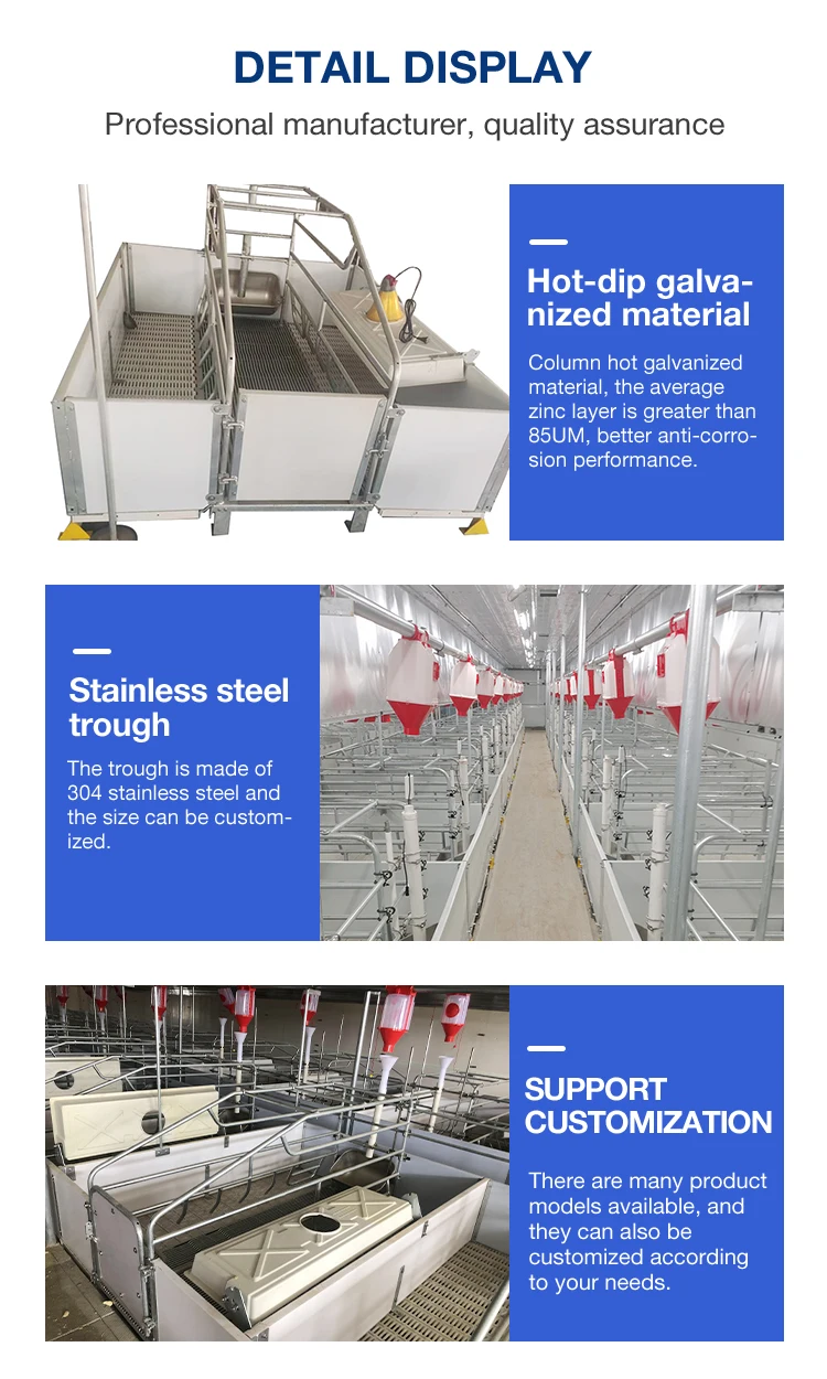 New Pig Farming Equipment Is Used in the Production of Breeding Beds and Mother Pig Farms