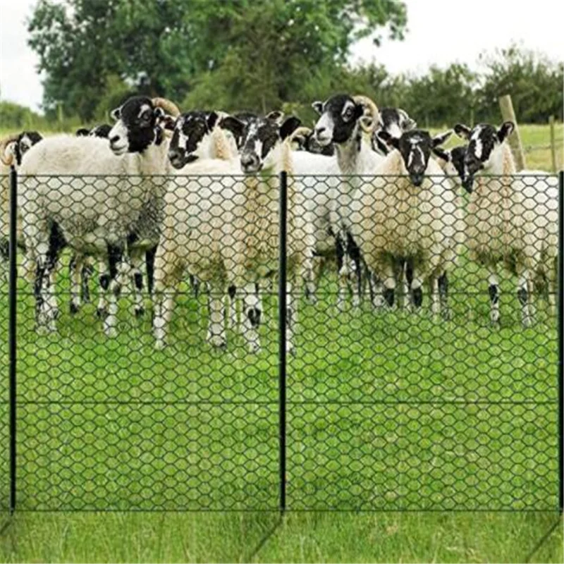 Good Price Galvanized Hexagonal wire mesh for chicken wire lowes / wire mesh Diamond Hexagonal Mesh Chicken Cage