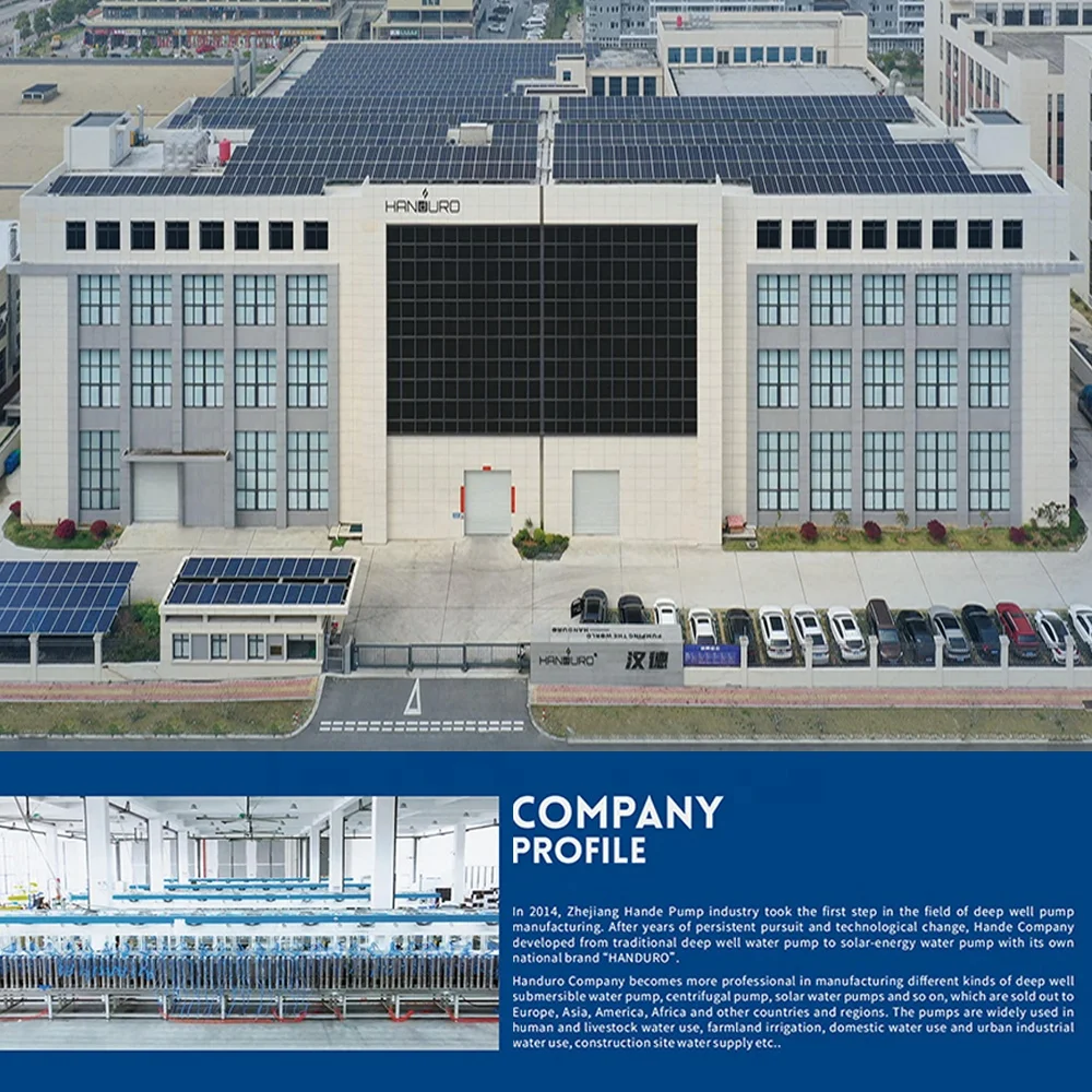 Handuro 6inch stainless Hybrid power Solar Power Submersible Dc Borehole Deep Well Water Pump Price For Agriculture