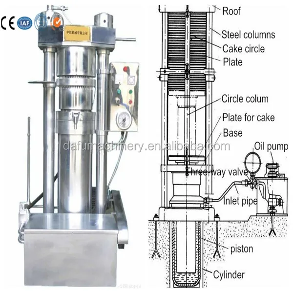 2024  Easy Operation Hydraulic sesame oil milling machine with unparalleled quality