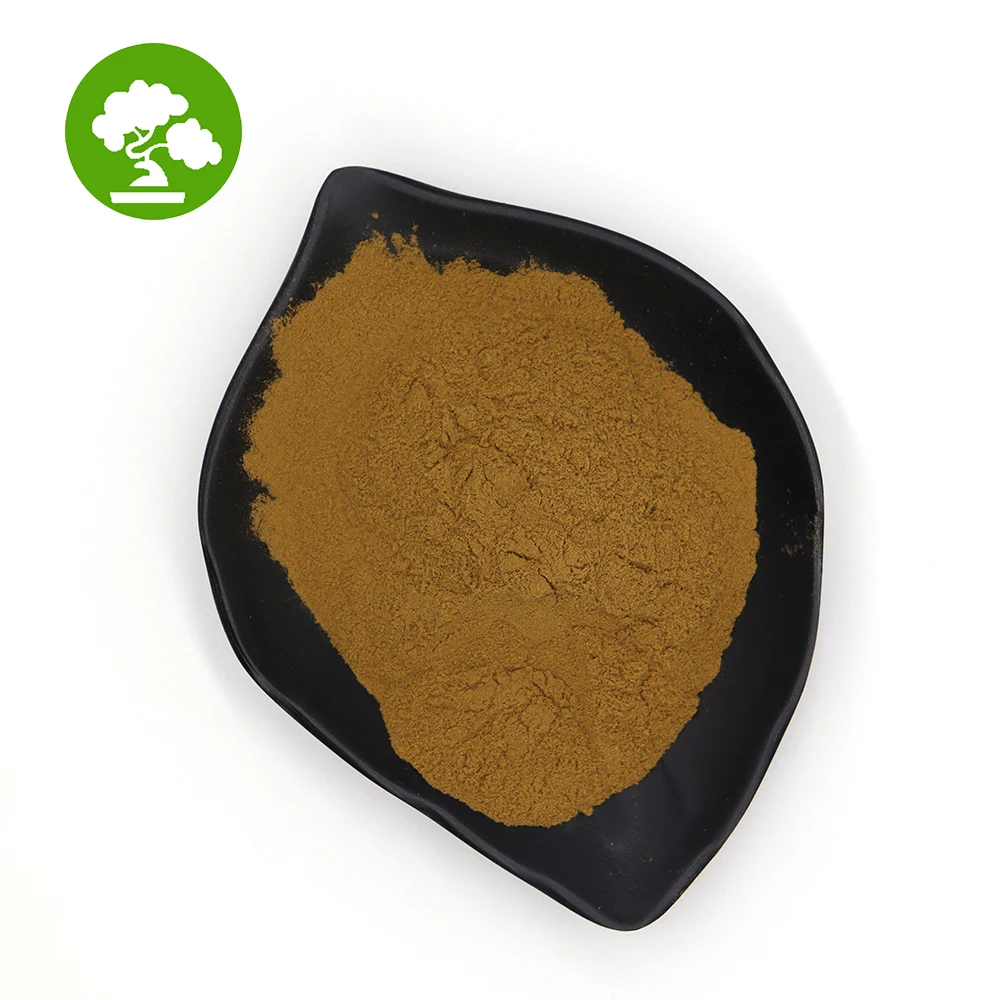 Natural Sweet Clove Extract Extract Coumarin 5% 10%