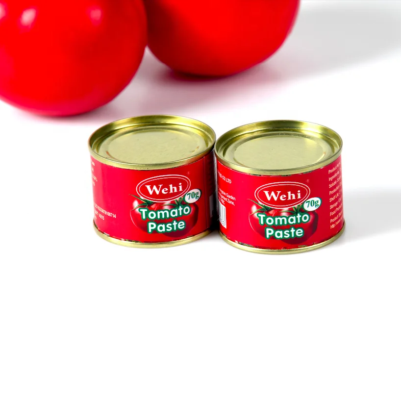 Halal Certified Caned Packaging 70Gx50  Hard Open Easy open Tomato Paste in tin packing/Canned tomato paste