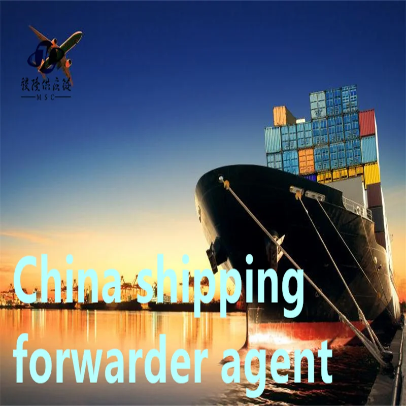 DDP LCL FCL sea air Forwarder shipping agent door to door China to Australia Malaysia Philippines Thailand Kuwait agent shipping