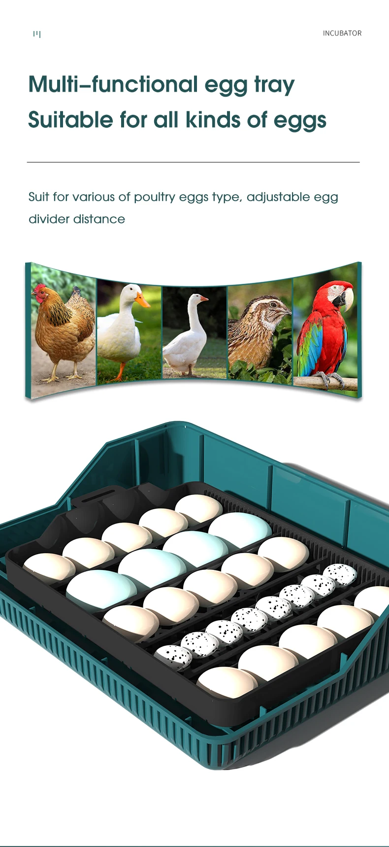 Good quality automatic computer control digital chicken egg incubator EW-25 mini chicken incubators