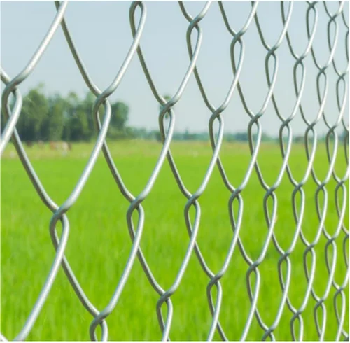 Wired Chain Link Fence Chinese Manufacturer 8 Foot 6ft Metal Iron Pvc Coated Garden Fence Nature Pressure Treated Wood Type 50ft