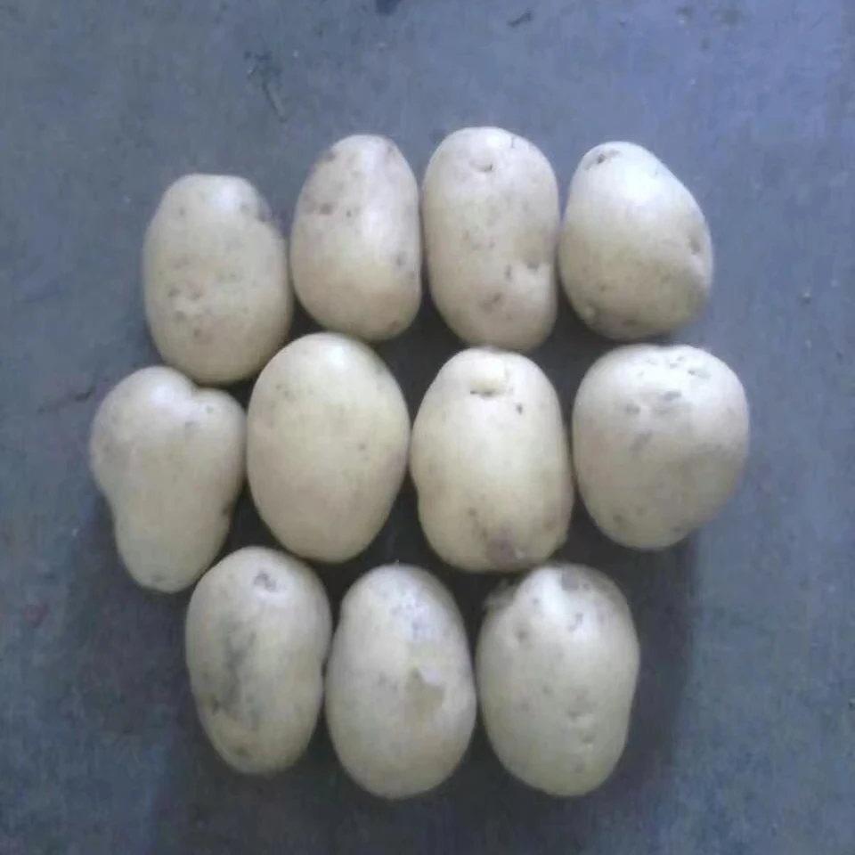 Comprehensive Nutrition french fries make machines chips potato fresh potatoes for sale