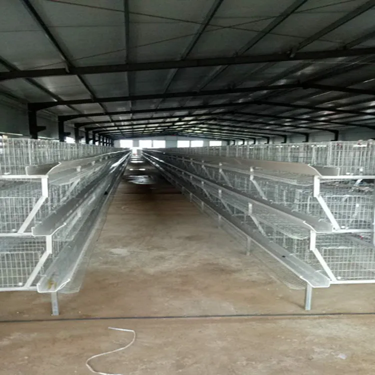 
Оптовая продажа, утолщенная Ферма для птицефабрик из Уганды, автоматическая клетка для кур, продажа для Пакистана, Нигерии 