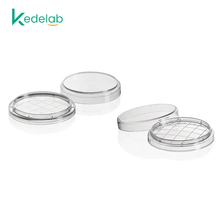 90mm 180mm 150mm 120mm 75mm 60mm Glass Petri Dish