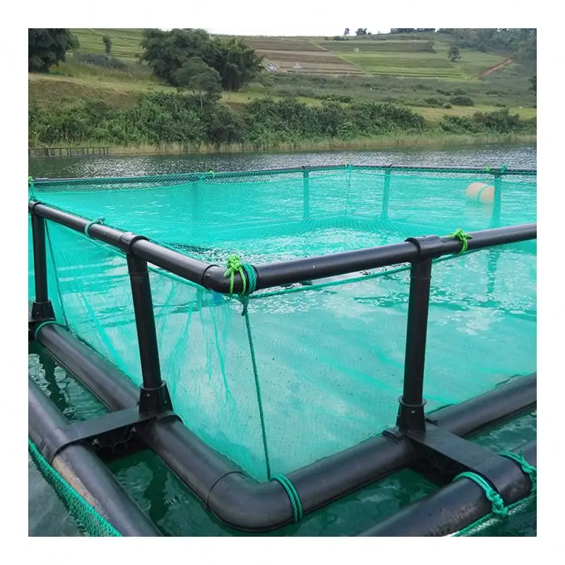 Fish cage farming system Fish cage pond Marine fish farming