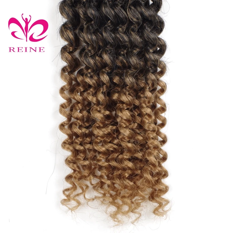 REINE Crochet  Hair Extension Synthetic Bulk Curl Hairstyle Free Tresses Hair Crochet Long Wave Curly Hair