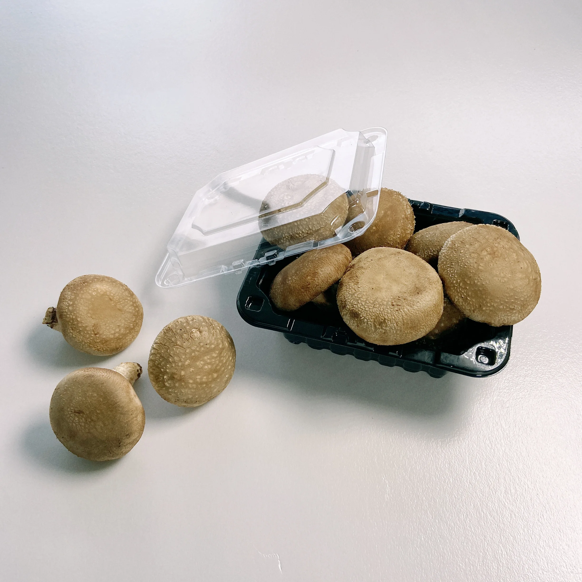 The Fine Quality Mushrooms Fresh Price Shiitake Mushroom For Supermarket