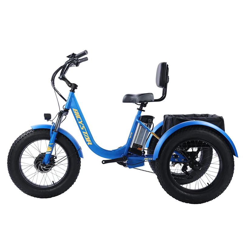 electric tricycles 3 wheel electric cargo bike electric truck cargo cycle