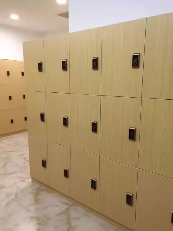 Electronic EM126khz RF RFID KEY Card Cabinet Lock for Salon Lockers with your logo